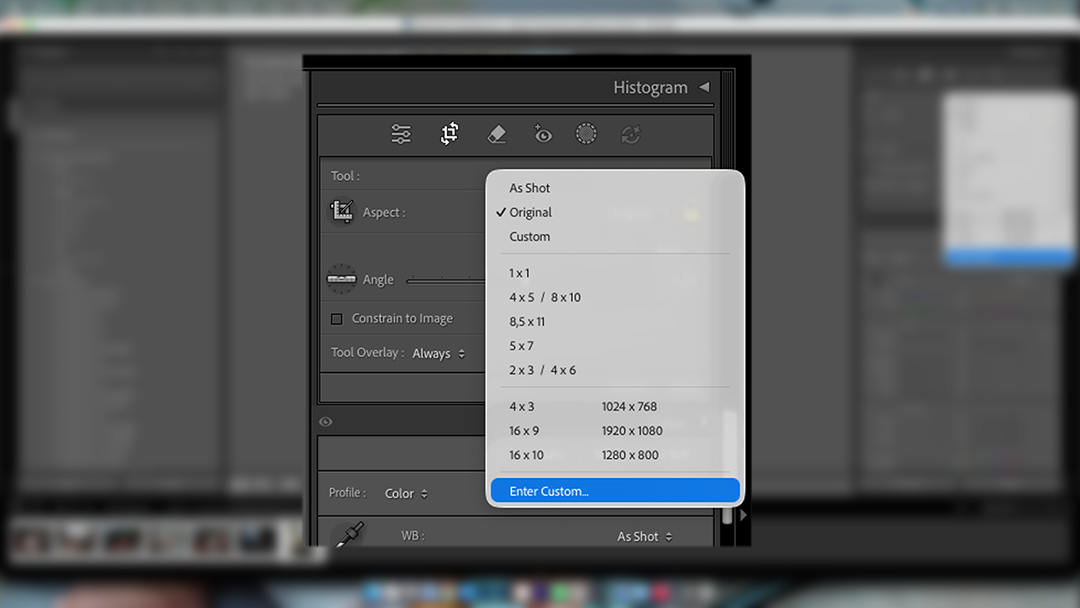 Cara Crop Lightroom